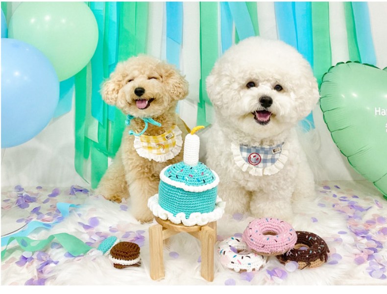 Birthday Cake Rattle Toy