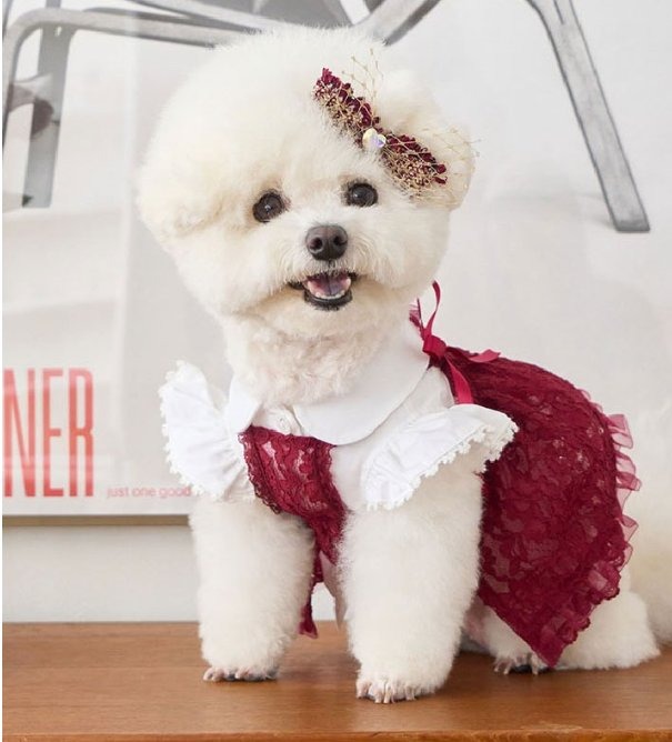 Holiday Bustier Hairpin (Burgundy)