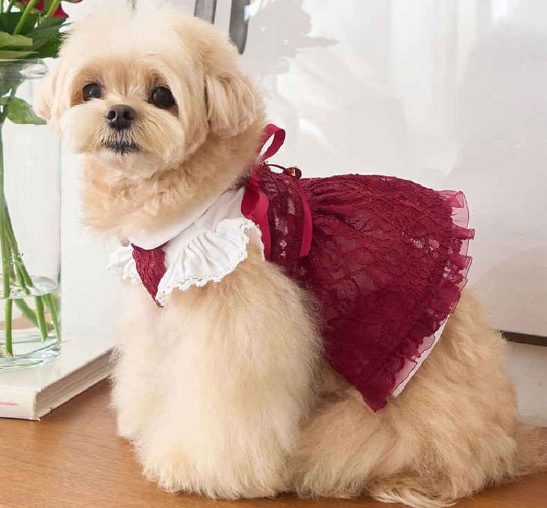Holiday Bustier (Burgundy) — view 4