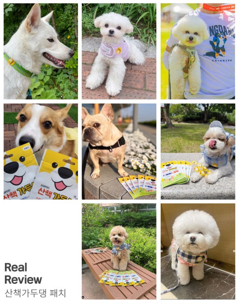 Korean Bug-Repellent Walking Patches — view 5