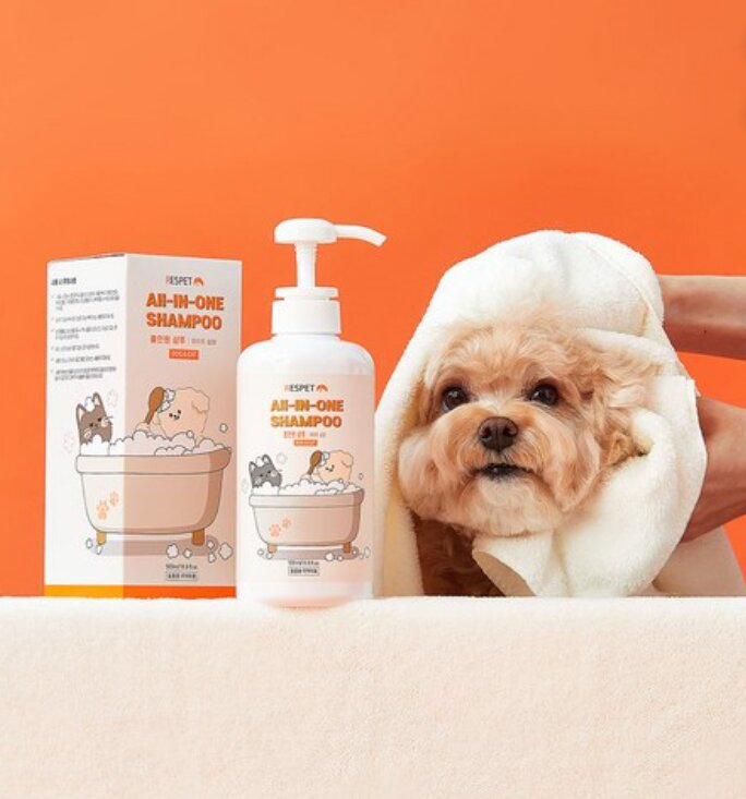 Korean Gentle All-in-One Shampoo — view 4