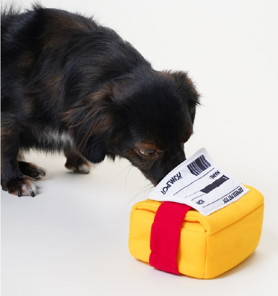 Howlpot Express Pet Box Toy — view 3