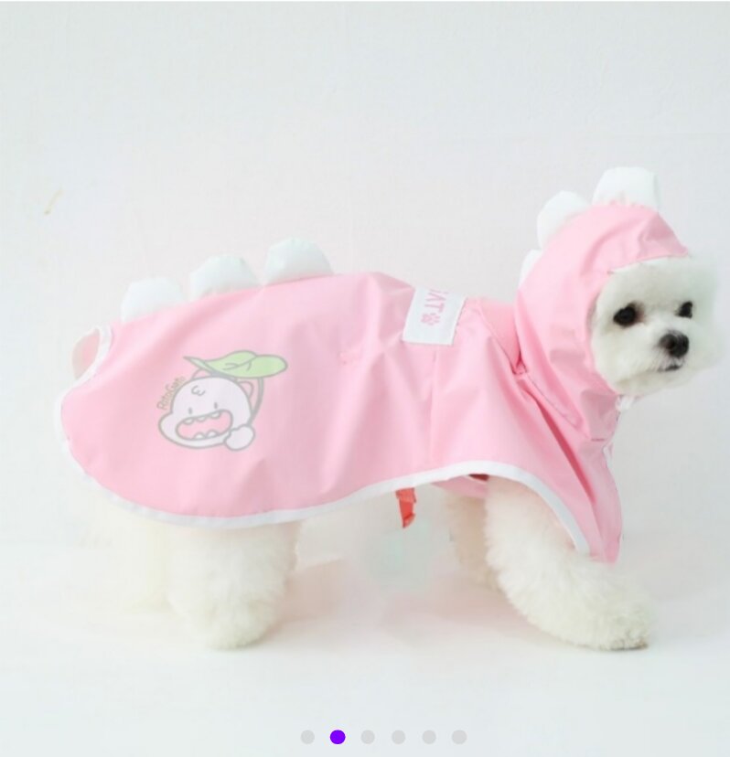 Dino Hood Raincoat — view 2