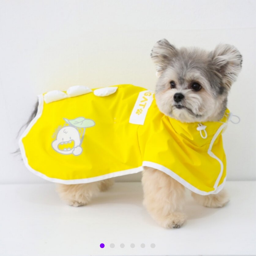 Dino Hood Raincoat — view 3