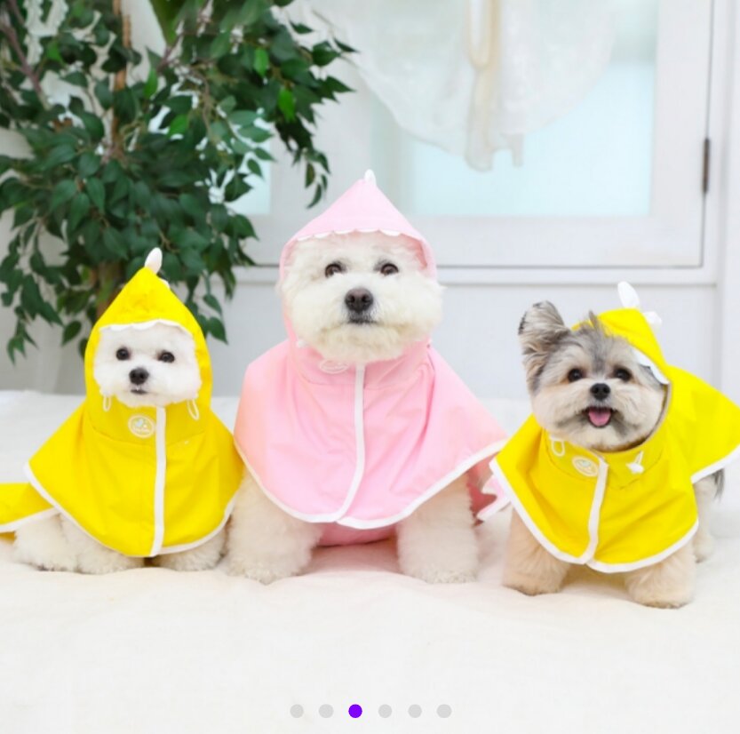Dino Hood Raincoat — view 4