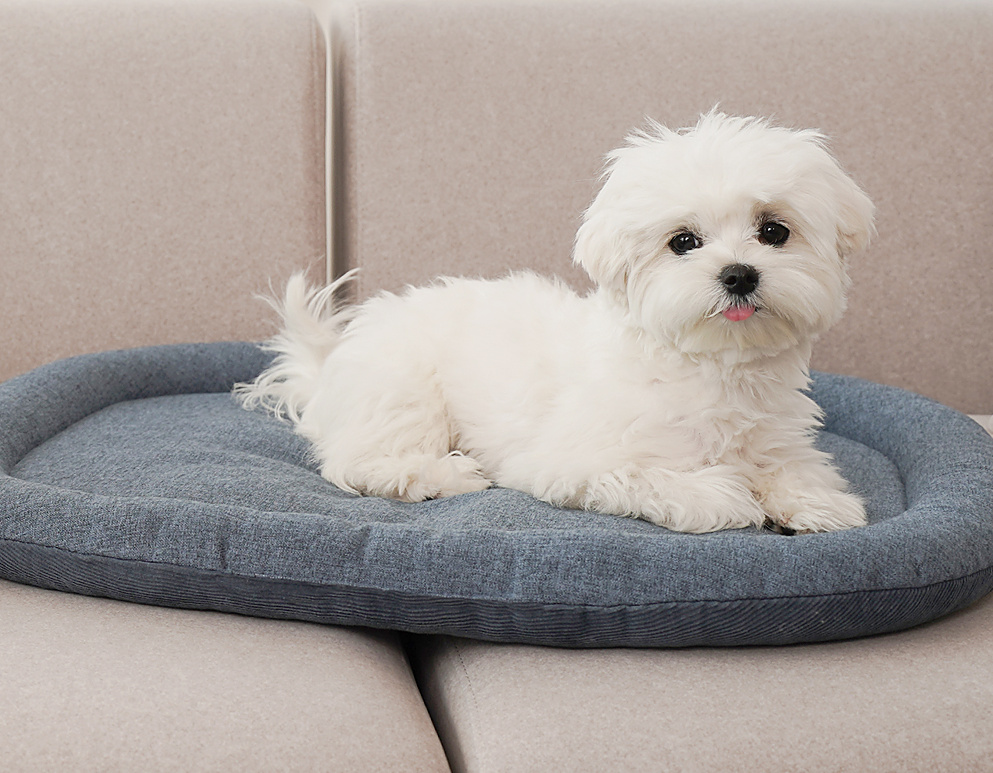 Nest Pillow · Classic Blue — view 2