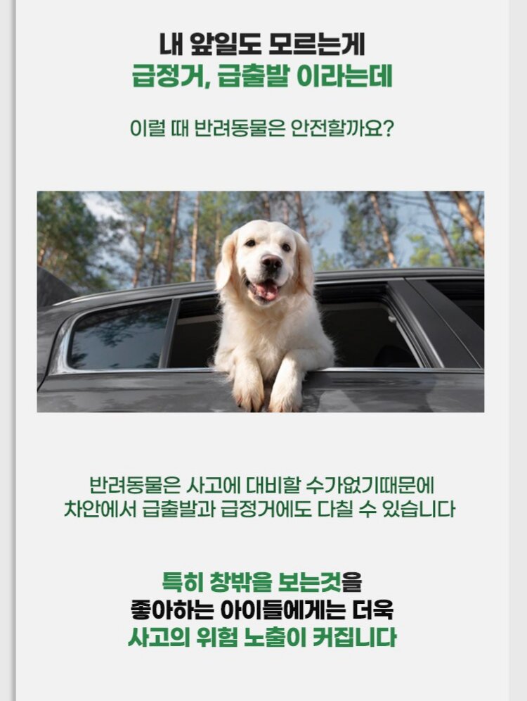 Korean Pet Safety Belt — view 3