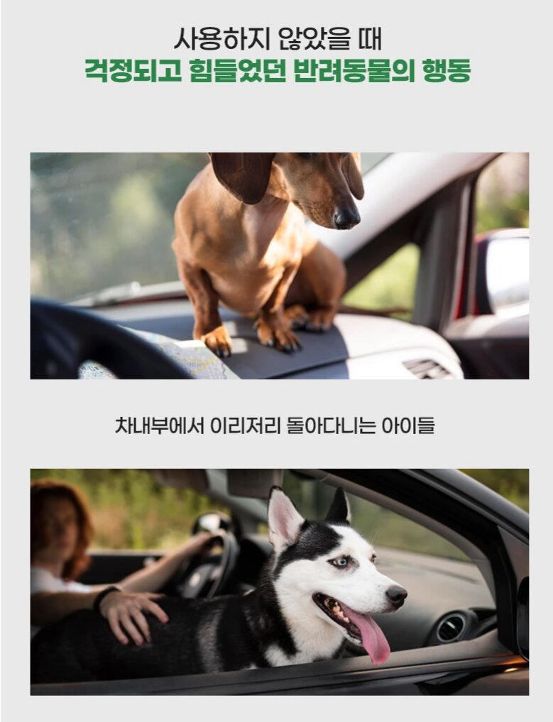 Korean Pet Safety Belt — view 4