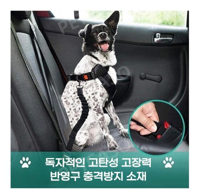 Korean Shock-Absorbing Safety Belt — view 5
