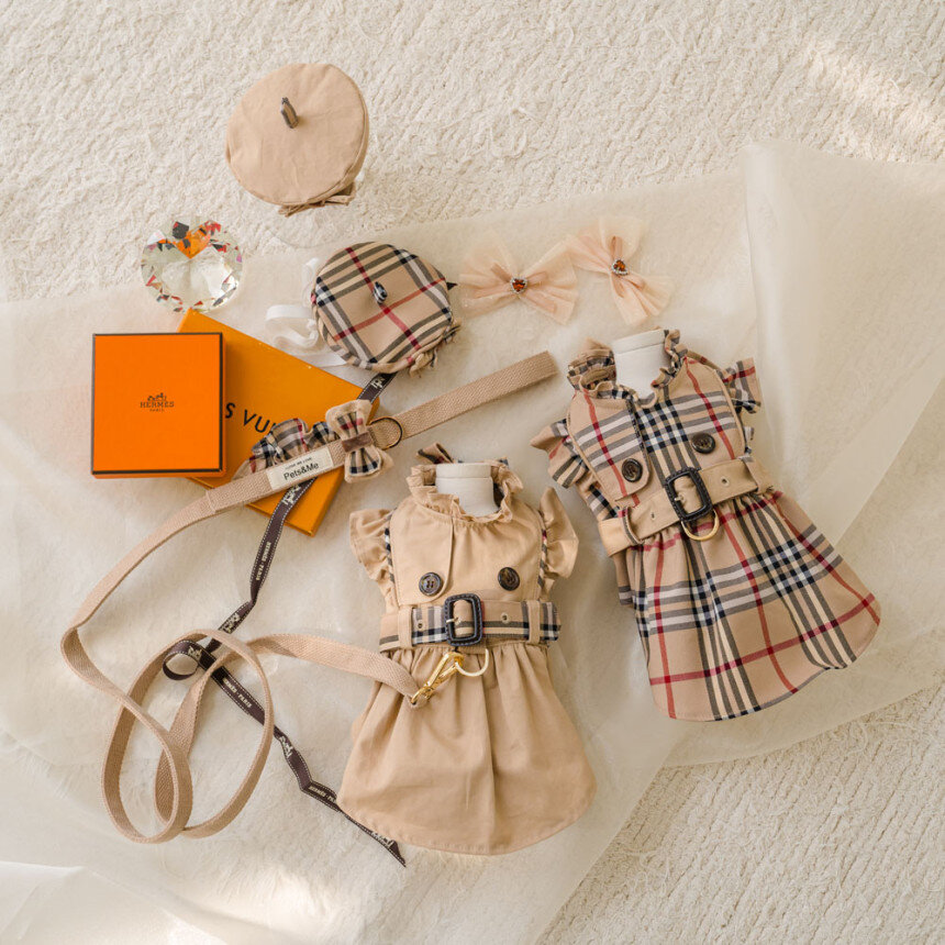 Trench Harness Dress — view 2