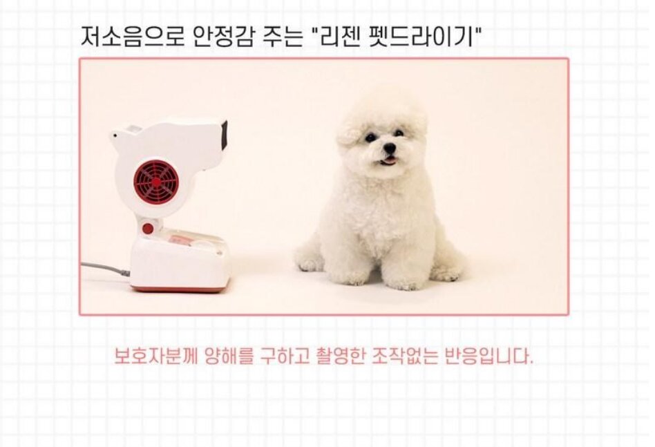 Korean Quiet Pet Dryer — view 3