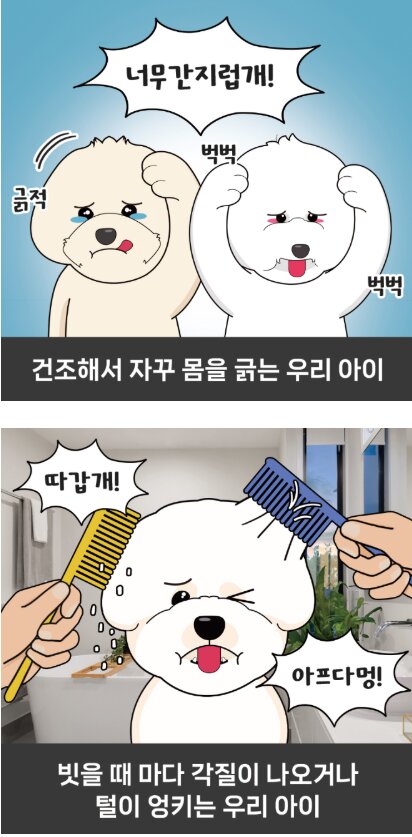 Korean Pet Wellness Mist — view 2