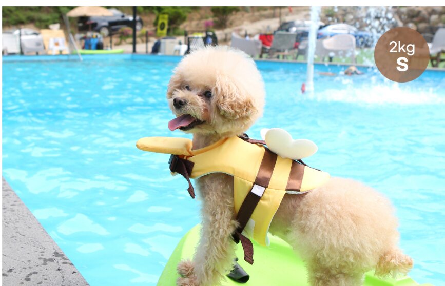 Honey Bee Life Jacket
