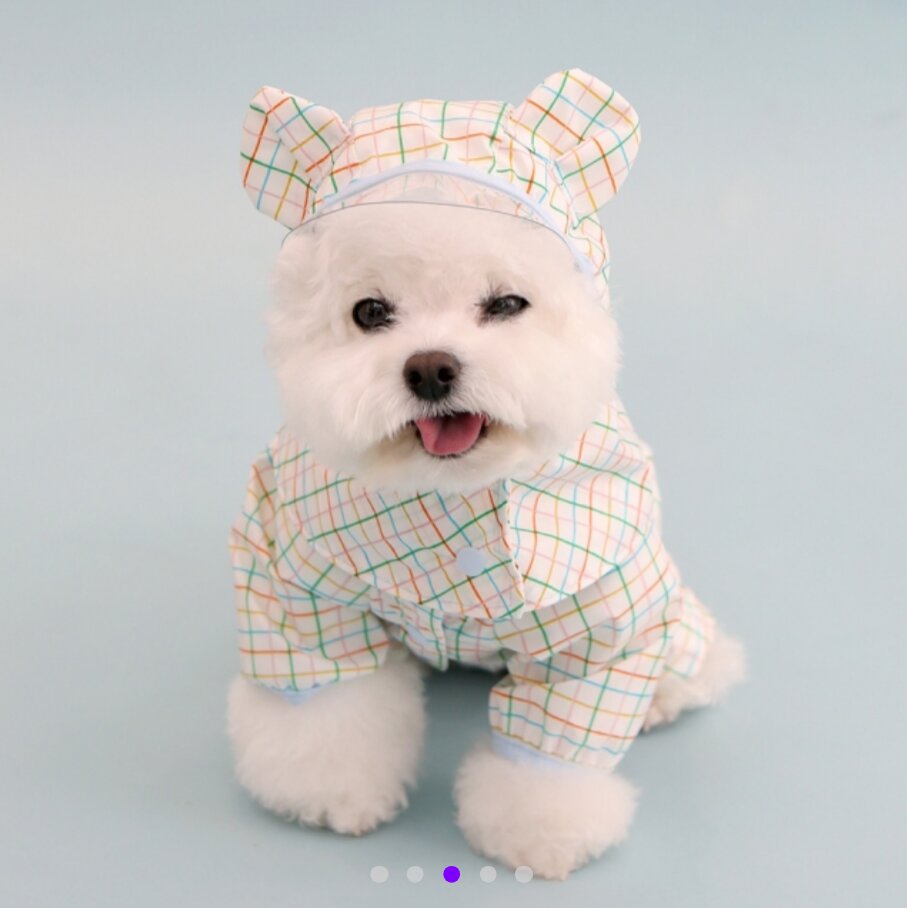 Jelly Bear Poncho Raincoat