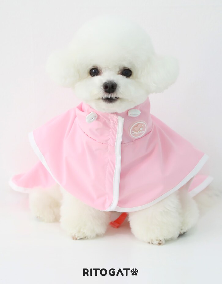 Dino Hood Raincoat