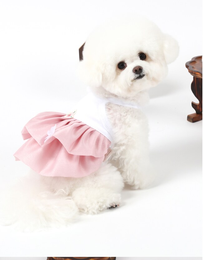 Doha Princess Hanbok