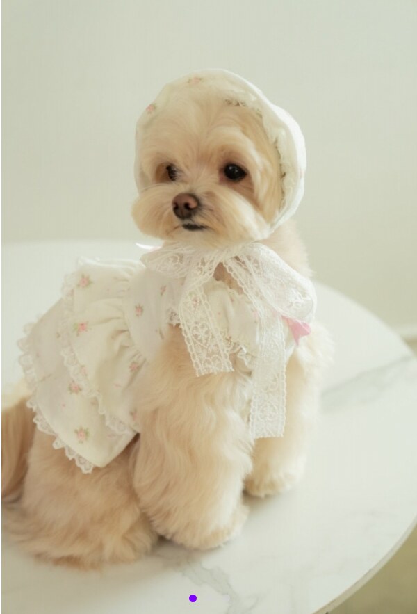 Mini Rose Bonnet