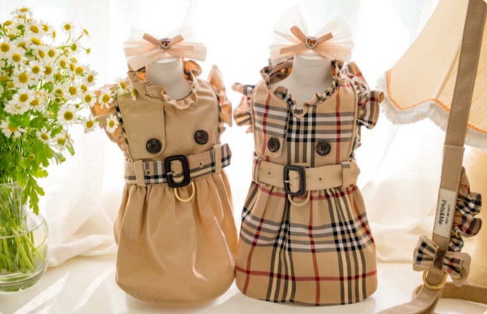 Trench Harness Dress