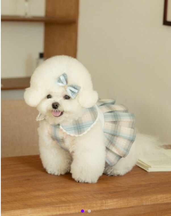 Preppy Check Dress
