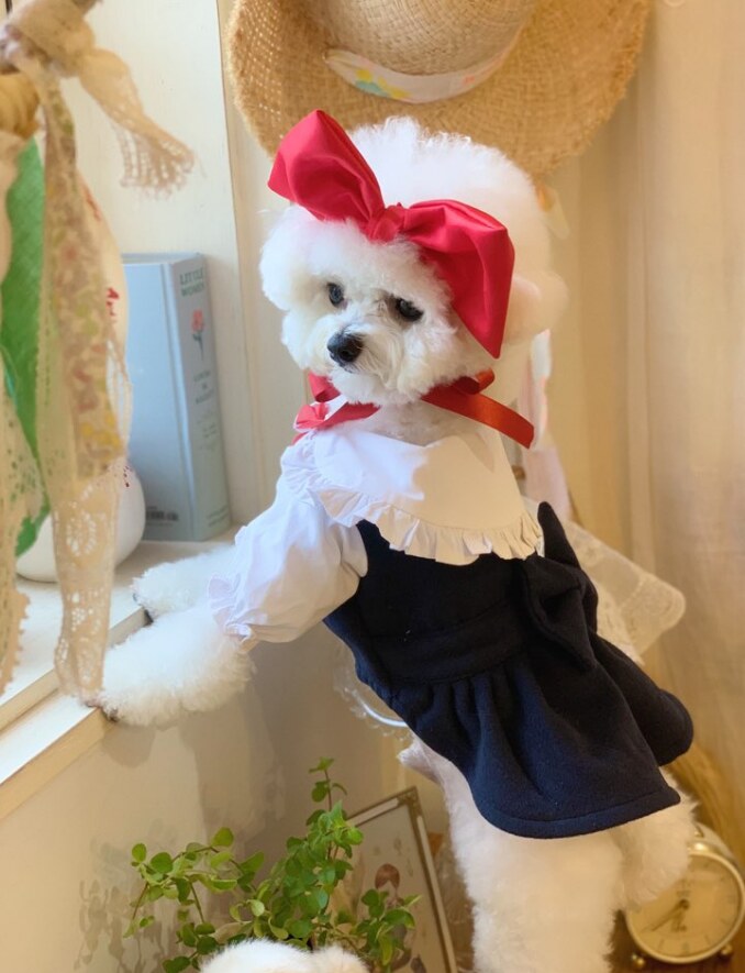 Kiki Tier Dress